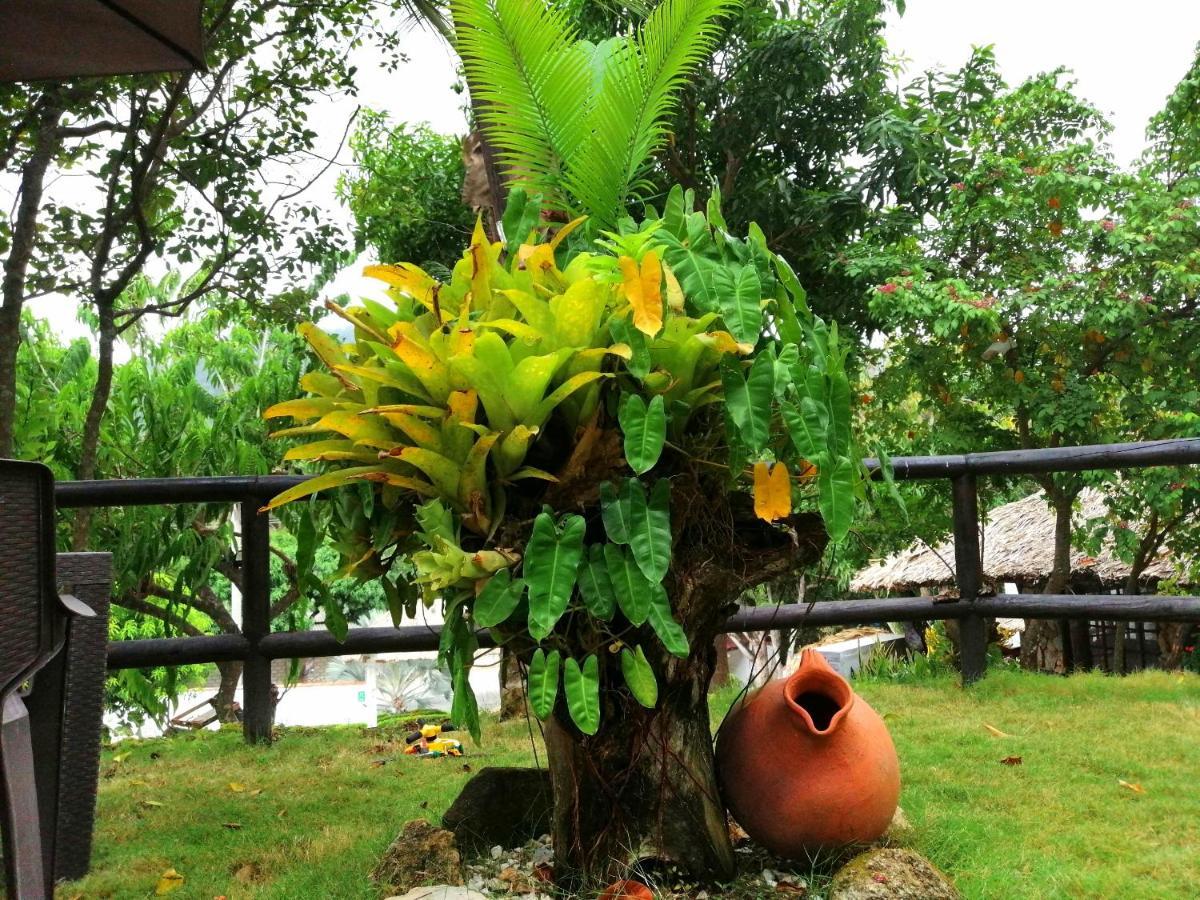 Villa Cata Hotel 埃尔扎伊诺 外观 照片
