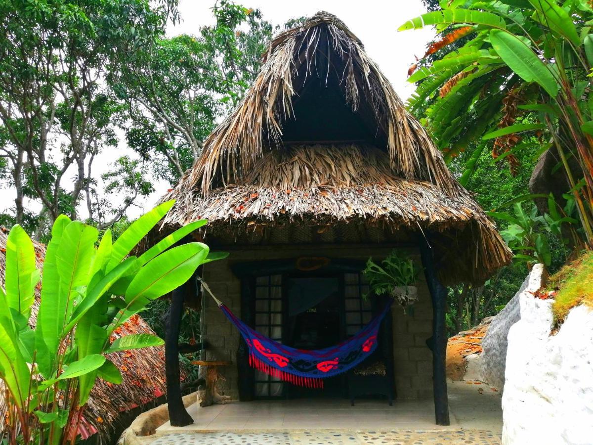 Villa Cata Hotel 埃尔扎伊诺 外观 照片