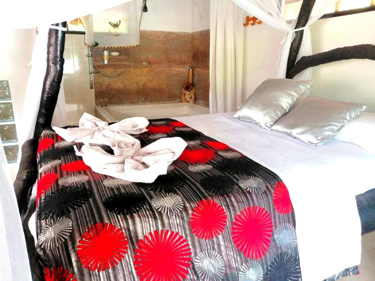 Villa Cata Hotel 埃尔扎伊诺 外观 照片