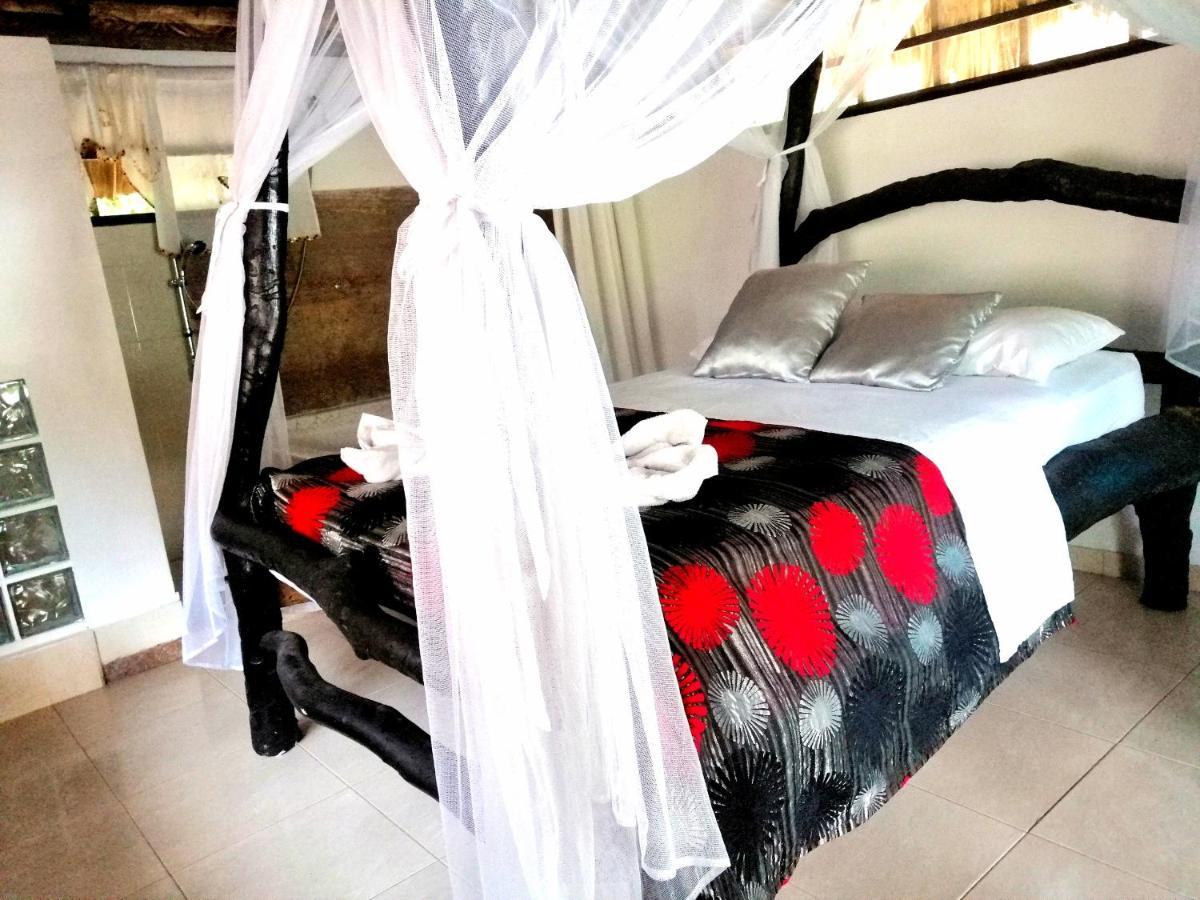 Villa Cata Hotel 埃尔扎伊诺 外观 照片