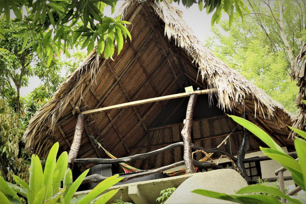 Villa Cata Hotel 埃尔扎伊诺 外观 照片