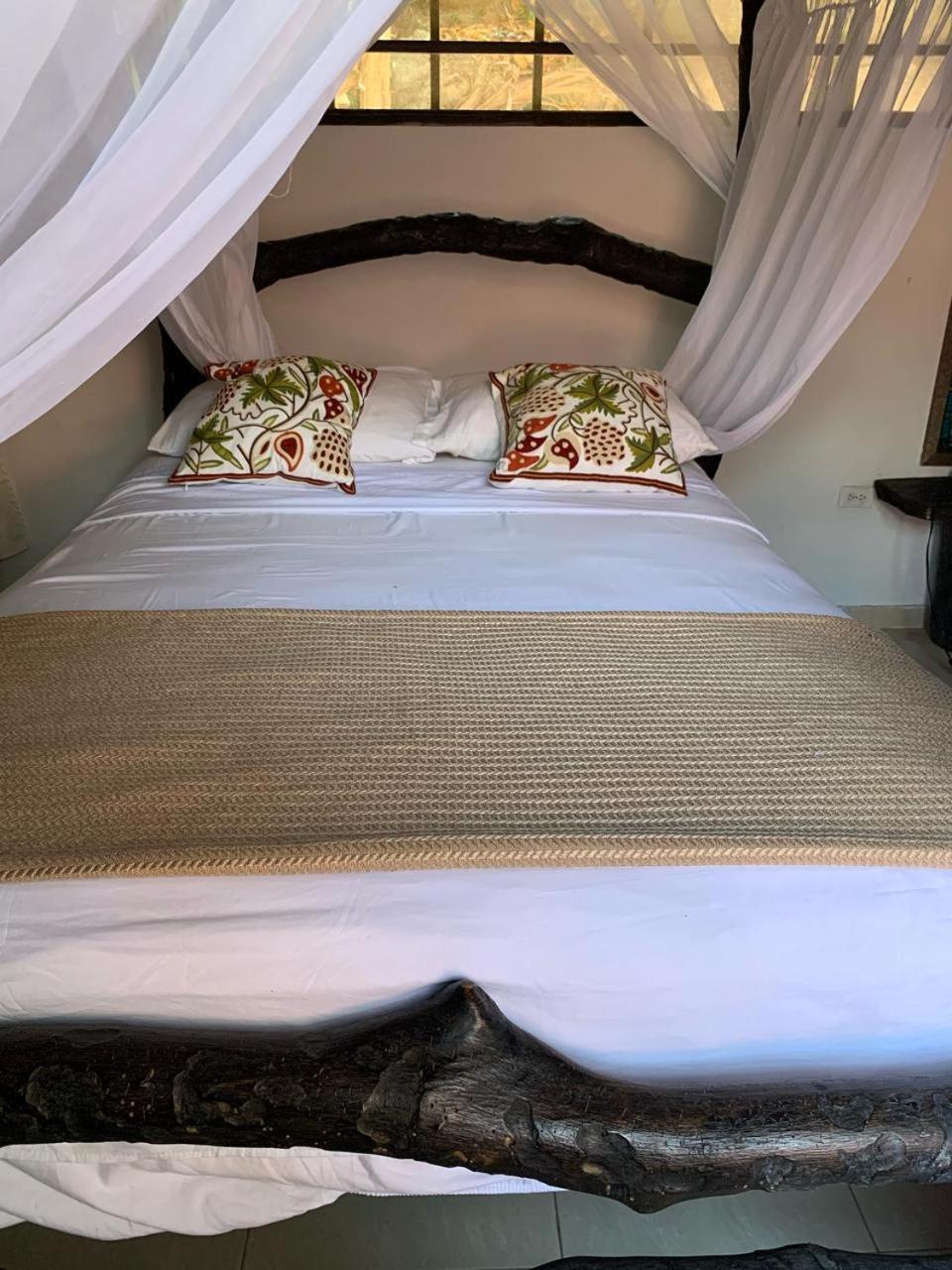 Villa Cata Hotel 埃尔扎伊诺 外观 照片